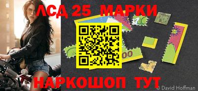гидропоника Гудермес