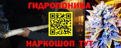 гидропоника Гудермес