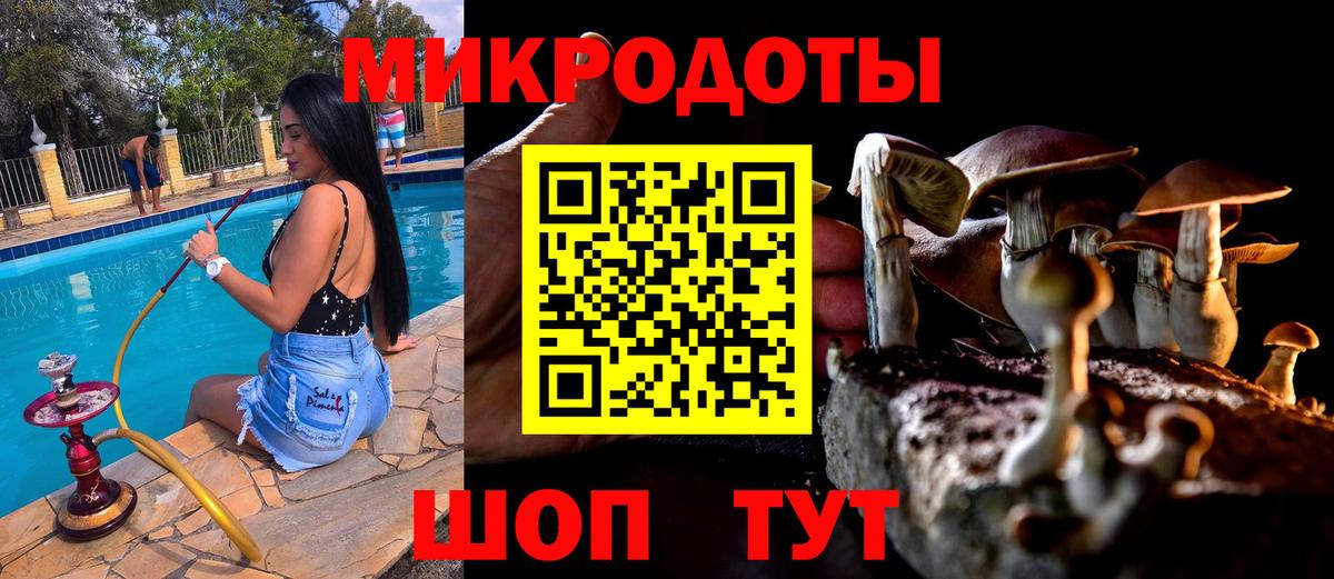 Галлюциногенные грибы Psilocybine cubensis Гагарин