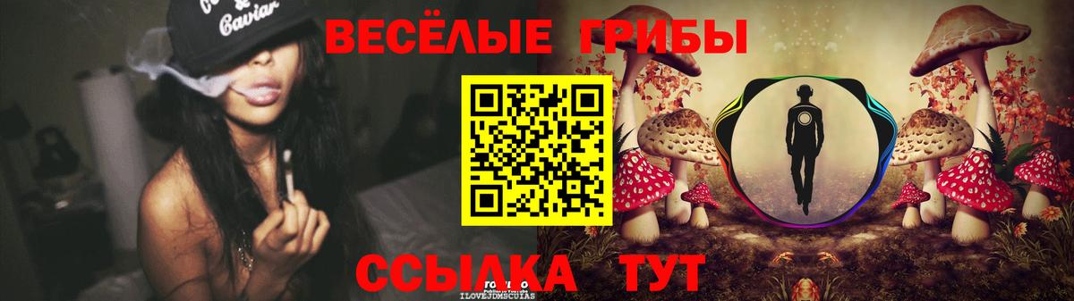 купить наркотик  Вход с VPN  Гагарин  Галлюциногенные грибы GOLDEN TEACHER 